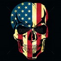 American Flag Skull
